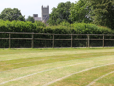 Mendip Area Team Athletics selections WCS Wells Cathedral School Independent Prep Somerset England